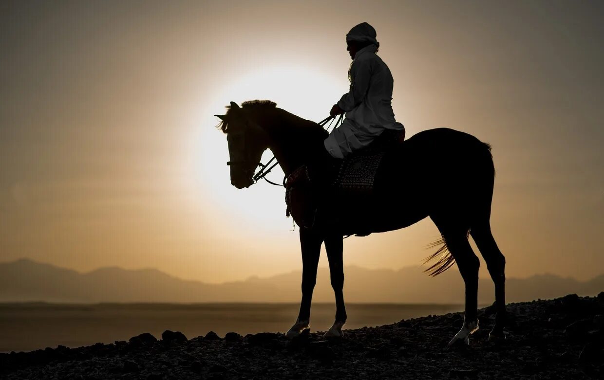 Мусульманские лошади. Всадник в пустыне. Всадник Ислама. Арабский всадник. Всадник мусульманин.
