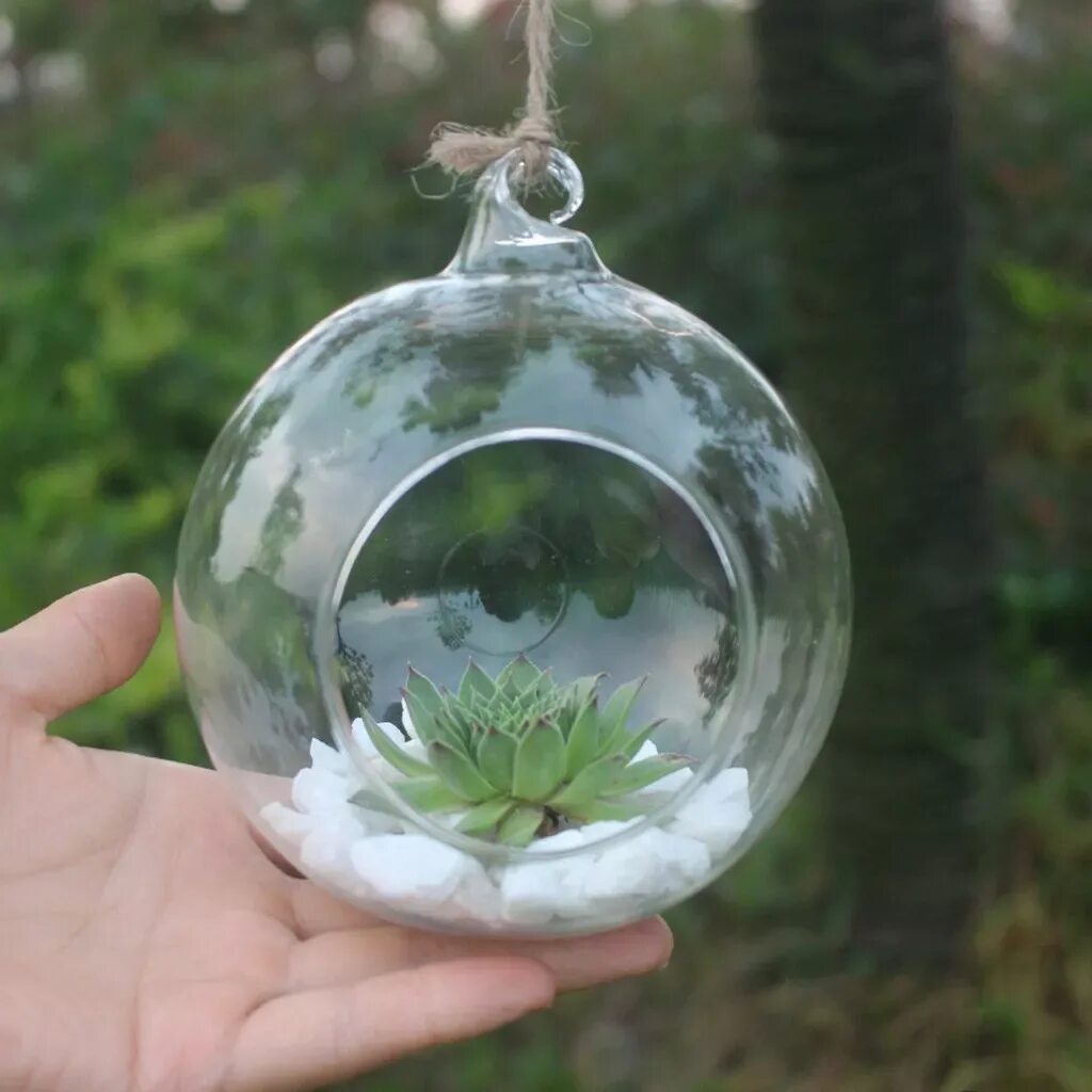 К первой чаше подвесим стеклянный шар. Растения в стеклянном шаре. Подвесной стеклянный шар для цветов. Подвесные стеклянные вазы. Стеклянный шар с цветком.