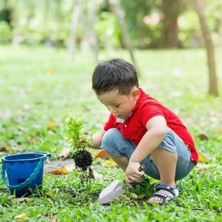 Planting boy