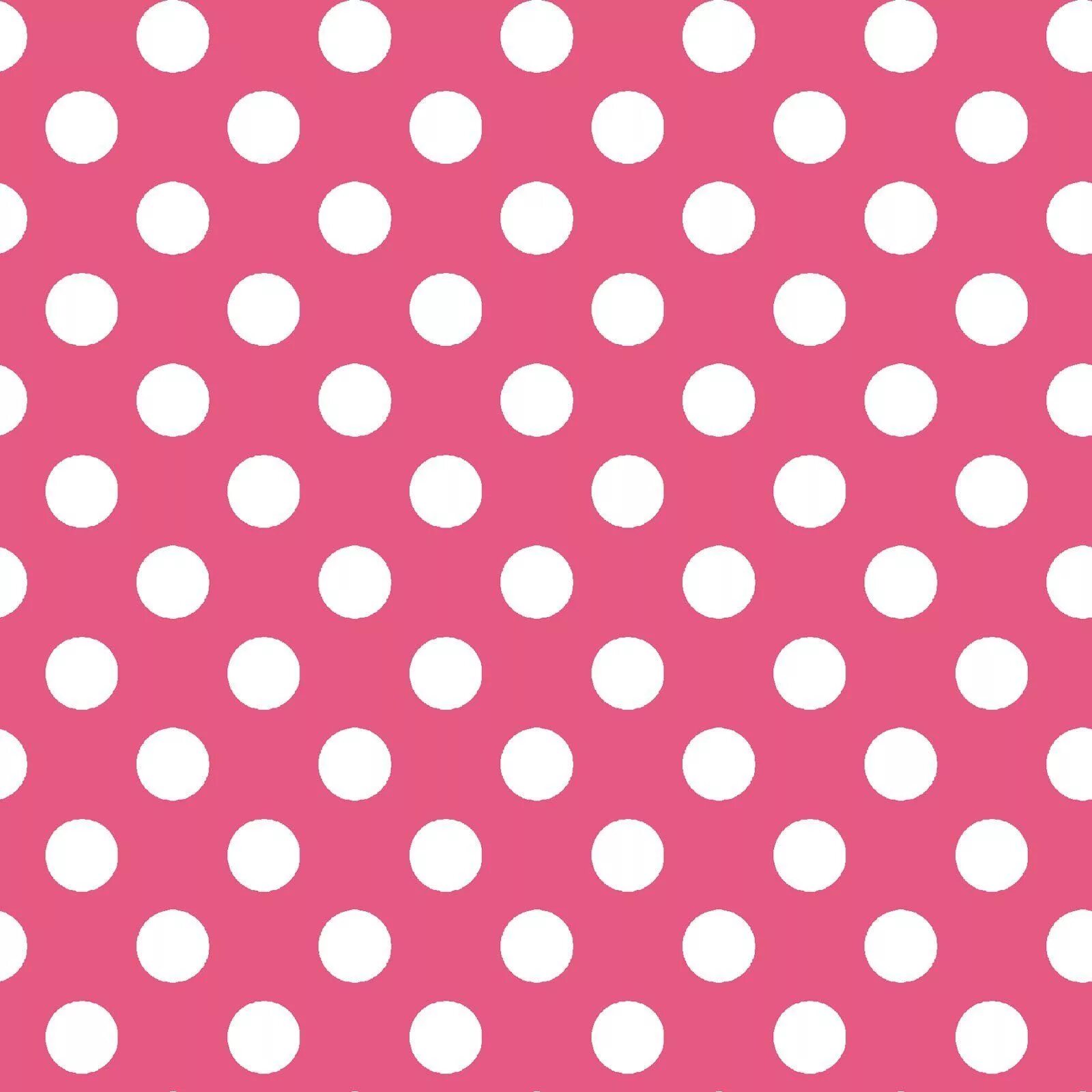 Polka dot перевод