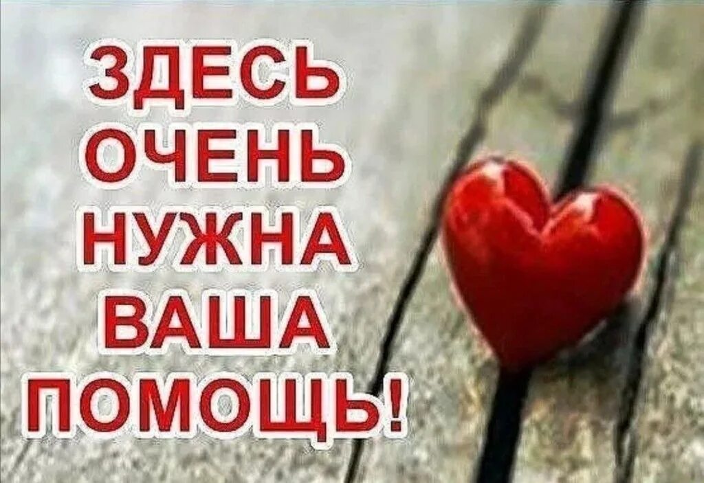 нужна помощь в выборе. нужна помощь. нужна ваша помощь. нужна помощь фонд. нужна ваша помощь.