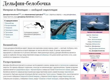 Ответы дельфин