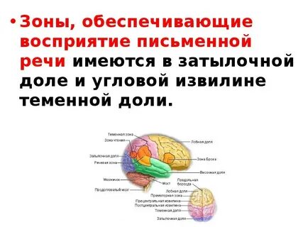 Зрительные речи