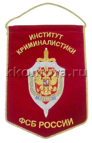 Институт криминалистики центра специальной техники