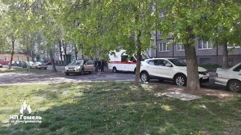 Общежитие петруся бровки гомель