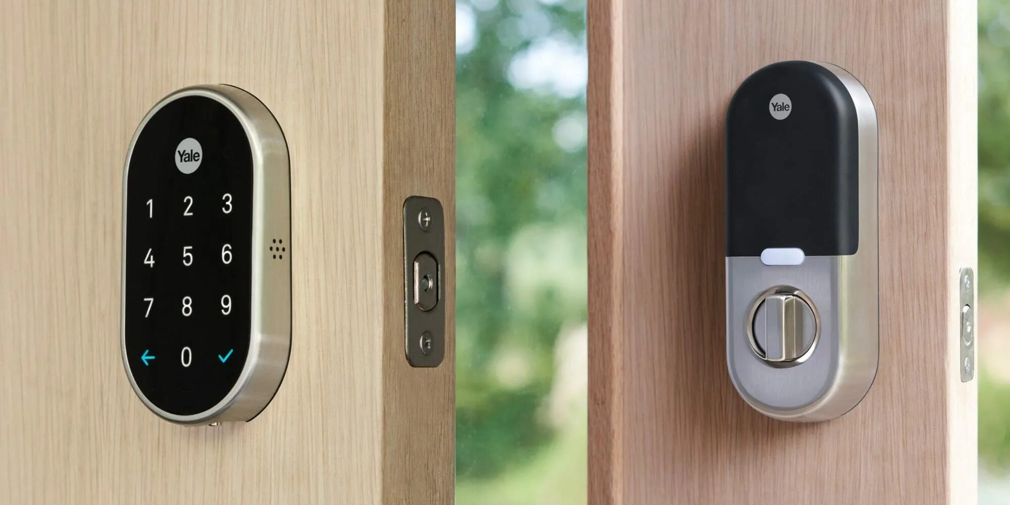 Nest guard