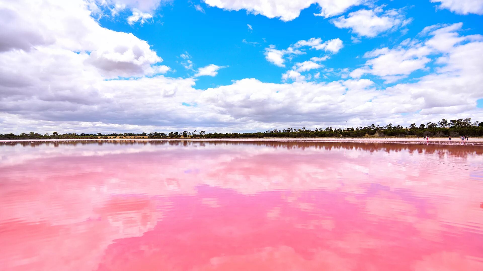 Озеро хиллер австралия. Озеро Ретба Сенегал. Озеро Хиллер (остров Миддл). Розовое озеро Хиллер Австралия. Озеро Ретба, Сенегал, Африка.