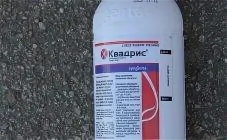 Квадрис на 10 литров