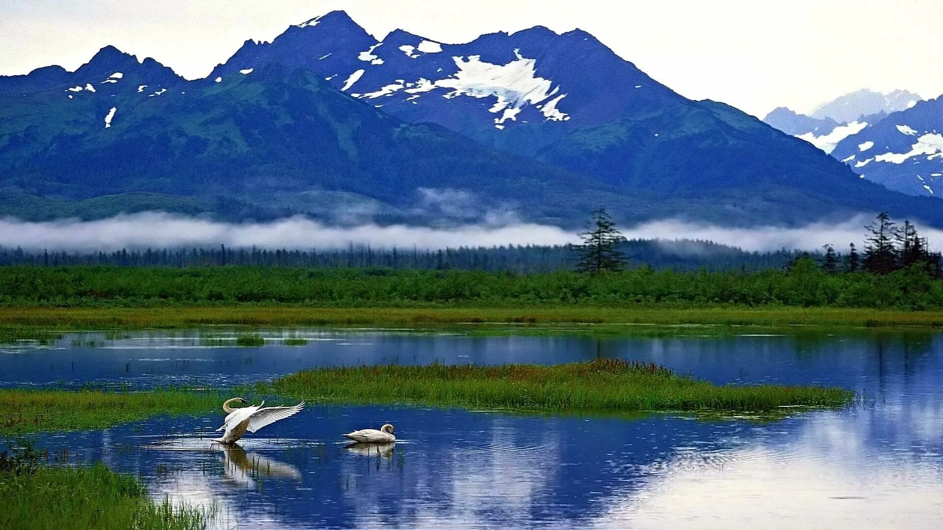 Аляска петербург. Штат Аляска природа. Дальний Восток и Аляска. Национальный парк Кенай-Фьордс. Аляска (штат США).