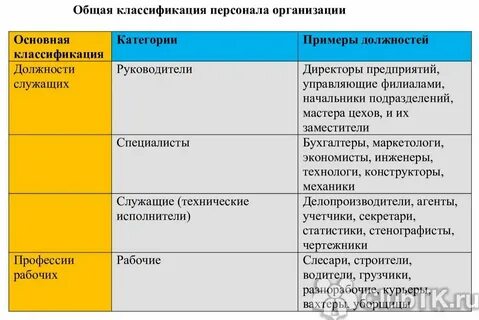 Заместитель директора к какой категории относится
