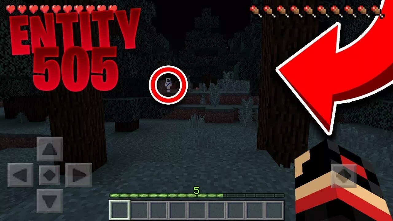 Entity find