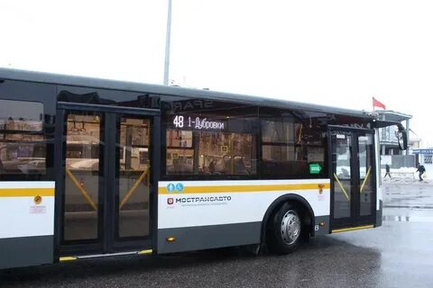 Большие автобусы 48