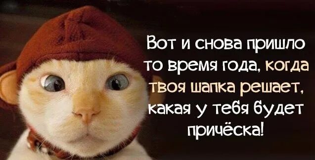 А ты опять пришла в гости песня. Ноябрь юмор. Приколы про ноябрь цитаты. Статусы про ноябрь прикольные. Ноябрь прикол.