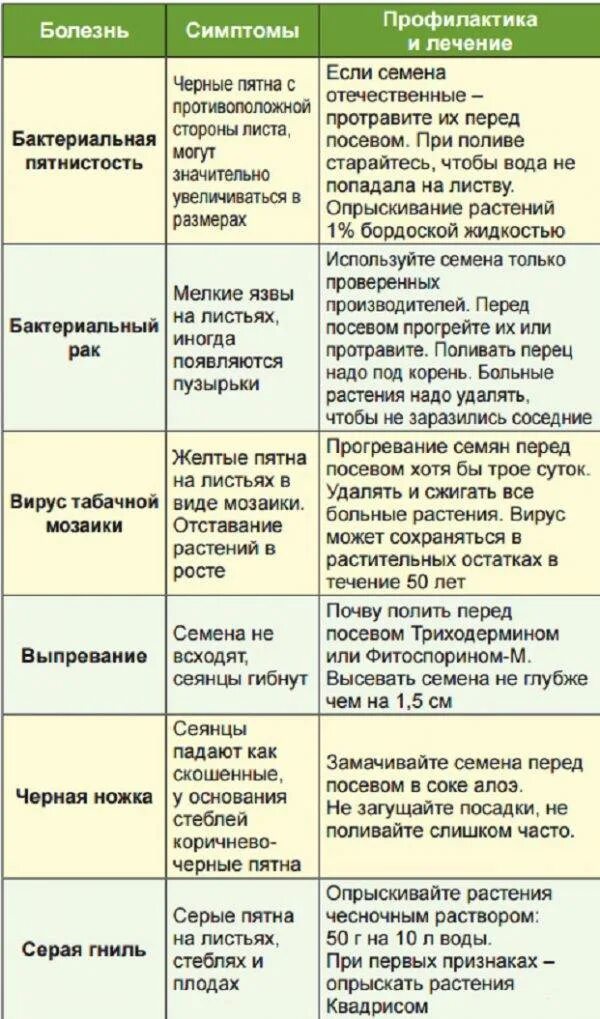 Вредители рассады томатов описание с фотографиями. Таблица болезней рассады. Болезни рассады томатов с картинками таблица. Болезни и вредители на рассаде перца сладкого. Препараты от болезней рассады томатов.