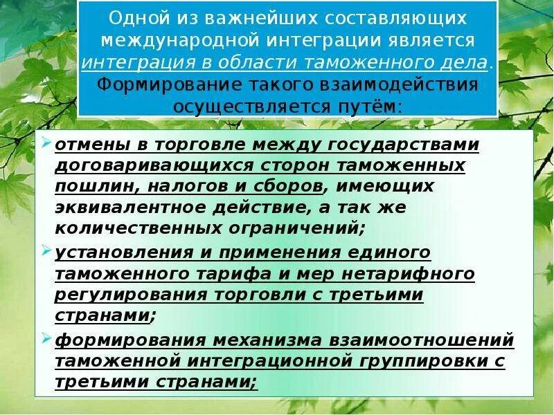 Международное таможенная интеграция. Интеграция в таможенном деле. Виды интеграций в таможенном деле. Международная интеграция в области таможенного дела. Типы интеграции таможенное дело.