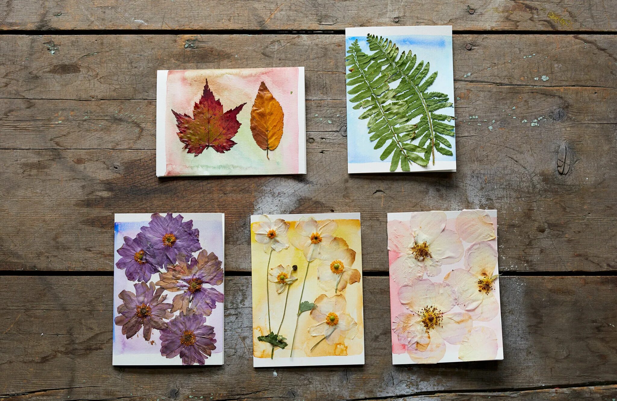 Pressed send. Pressed flowers. pressed rose petal bookmarks-laminated.