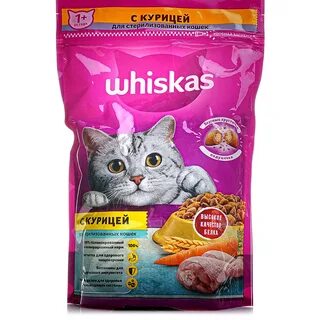Домашний корм для котят