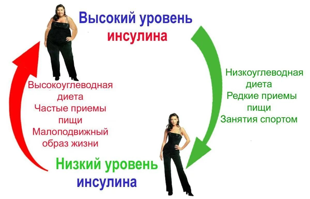 Почему повышается инсулин. Диета и уровень инсулина. Высокий инсулин и похудение. Инсулин и снижение веса. Повышение уровня инсулина при.