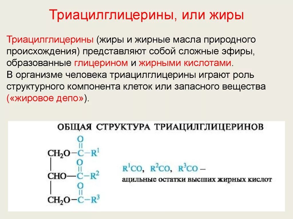 Глицерин содержит группы. Триацилглицерины (жиры, масла). Формула жирных кислот общая формула. Общий принцип строения жиров триацилглицеринов. Номенклатура триацилглицеридов.