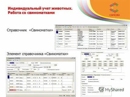 Программа учета животных