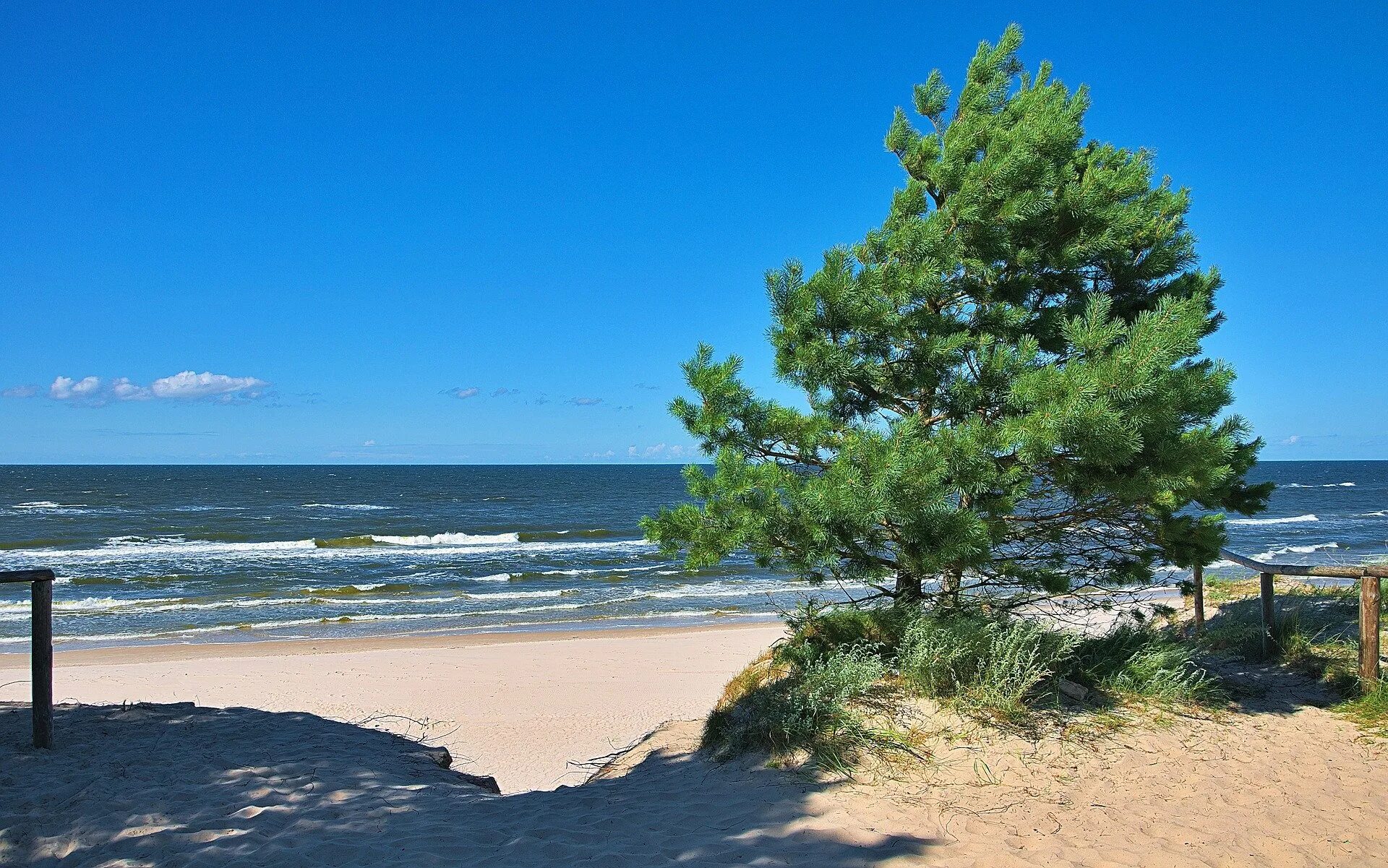 Жемчужина взморья. Дюны и море Юрмалы. Сосновый Бор Балтийское море. Финский залив дюны сосны. Калининград сосны дюны.