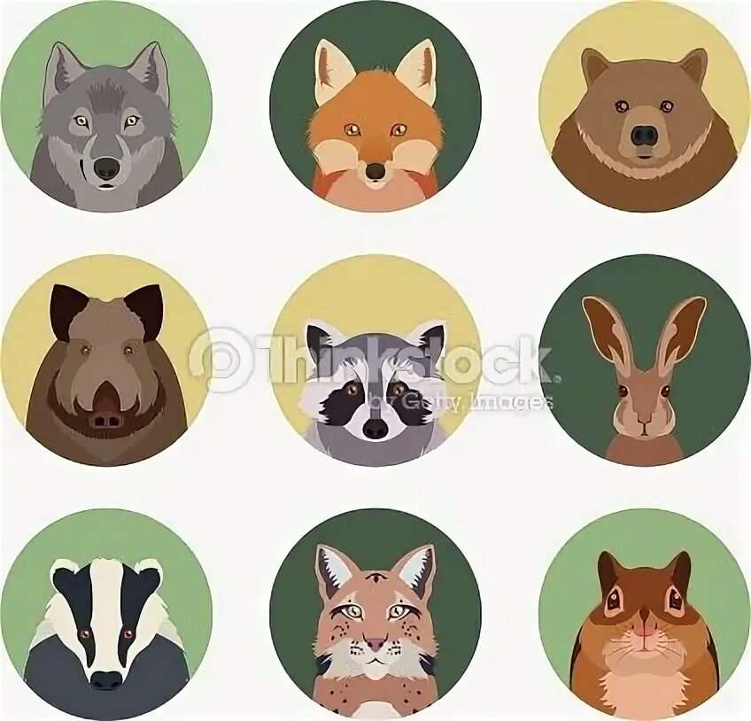 Животные в кружочках картинки free stuff Animal crafts for kids, Sewing stuffed animals, Felt crafts
