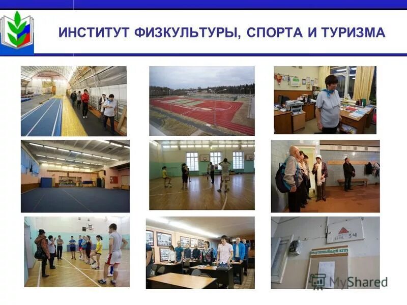 факультет физкультуры и спорта