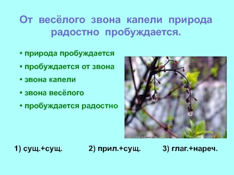 И зазвенит весёлая капель.... Капель это словосочетание. Весело звенит капель. Весело звенит капель. Как правильно написать. Звон словосочетание