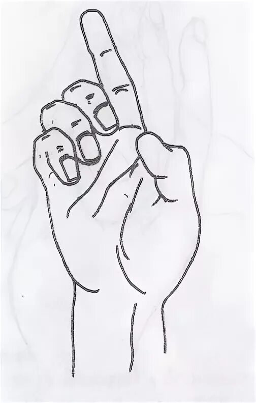 Два сложенных вместе пальца. Мудры подношений. Мудра напутствия. Мудра большой палец в кулаке. Апана мудра мудра бессмертия.