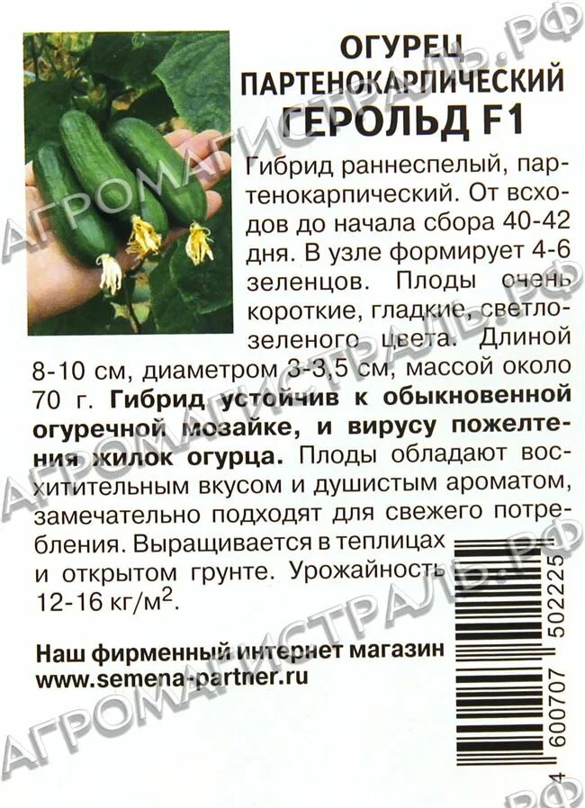 Семена огурец партнёр f1 10шт. Огурец партенокарпический трюкач f1. Огурцы герольд описание отзывы. Гавриш. Герольд огурец партнер.