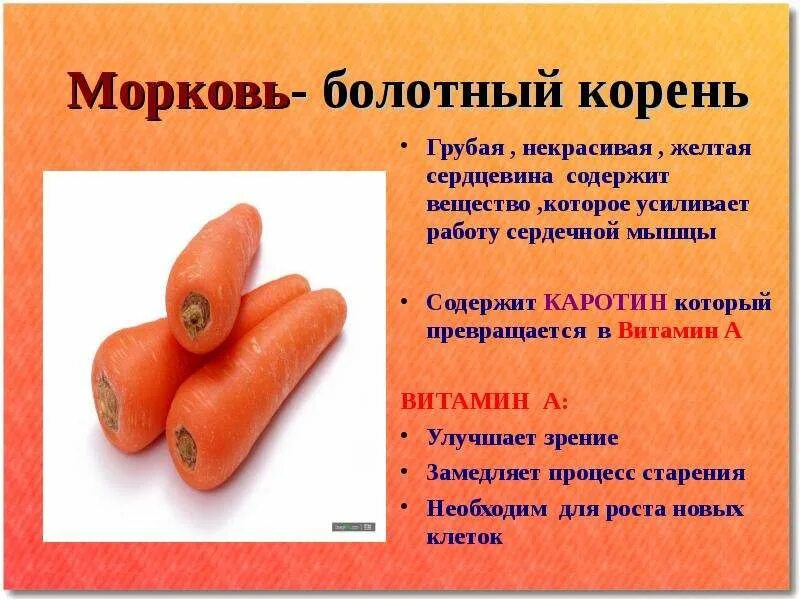 Полезные вещества в моркови. Чем полезна морковь. Чем полезна морковь. Полезные вещества в моркови. Морковь витамины.
