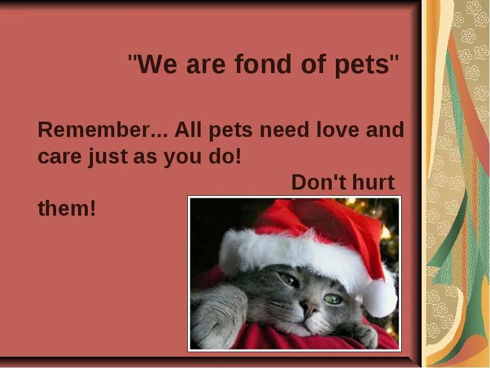 Рассказ про кошку на английском языке. Рассказ my pet. Портфолио английский мой питомец. My pet текст на английском. Домашний питомец на английском 3 класс.