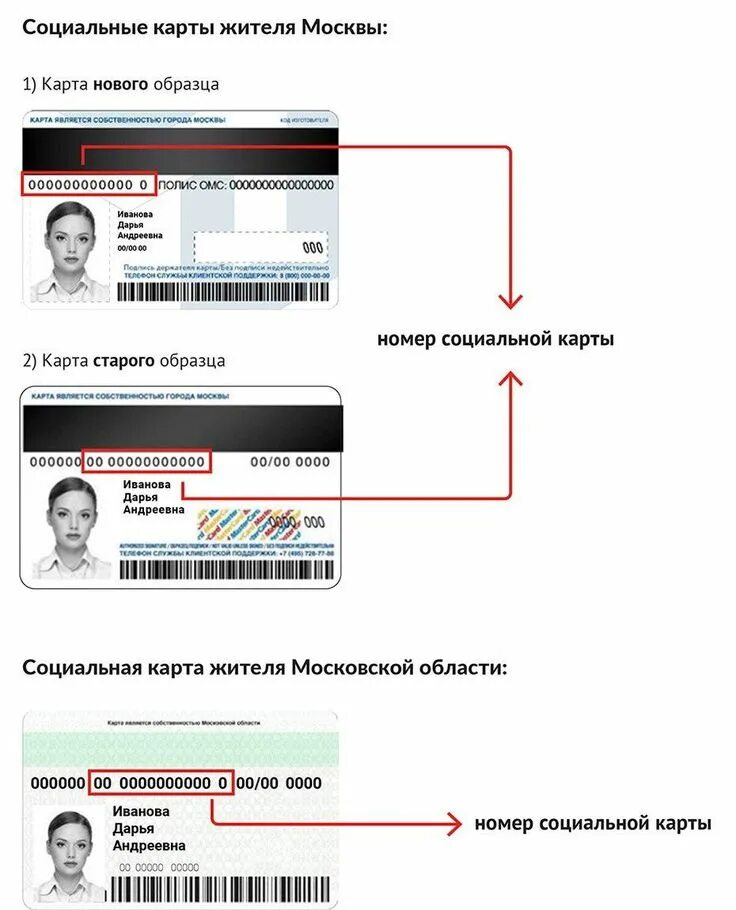 Как узнать до какого числа действует