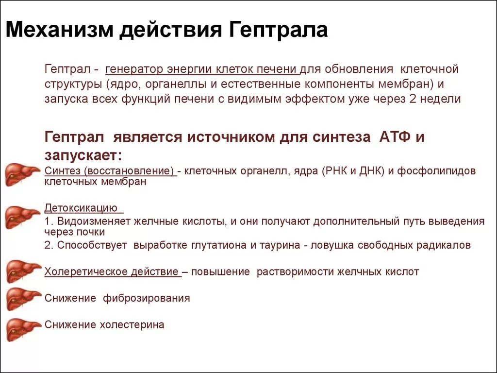 Механизм действия гептрала. Гептрал механизм действия. Механизм действия гептрао. Действие гептрала на печень.