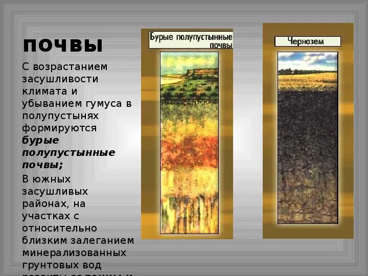 Какая почва в пустынях и полупустынях. Почвы полупустынь. почвы пустыни и полупустыни в россии. бурые пустынные почвы. почва бурая.