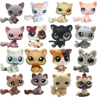 1 pet shop