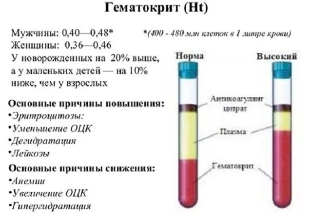 Понижен гематокрит в крови