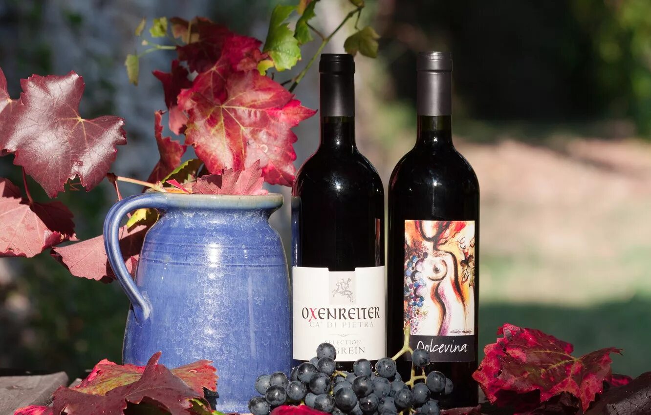 Вино красивые фото. Вино и виноград. Осеннее вино. Бутылка вина. Цветочное вино.