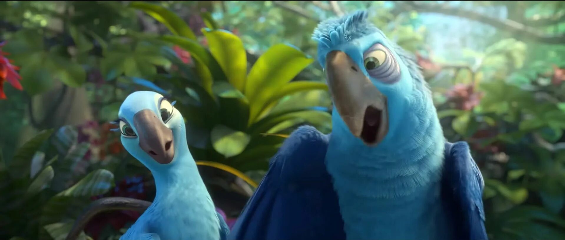 Рио / rio (2011) голубчик и жемчужинка. Рио 2011 голубчик. Rio 2 animation. Рио 2 ролик. Рио 1.
