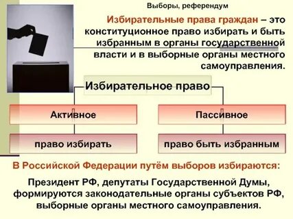 Избирательное право обществознание 9 класс