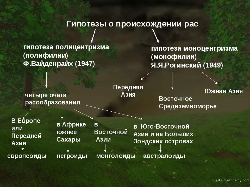 Факторы формирования рас человека. Гипотезы возникновения рас человека. Происхождение человеческих рас. Механизм происхождения рас. Происхождение рас человека.