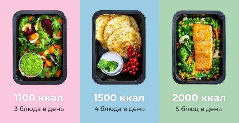 Программа то что едим
