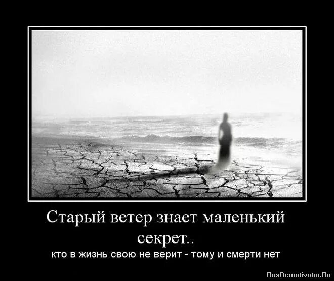 изображение счастья. любовь как ветер. синий иней фото солистов. старый ветер знает. браво ветер знает обложка.