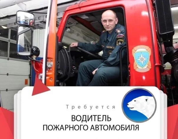 Водитель пожарного автомобиля. Пожарный водитель требования. Обязанности пожарного в пожарной части. Инструкция водителя пожарной машины. Обязанности пожарного водителя мчс должностные.