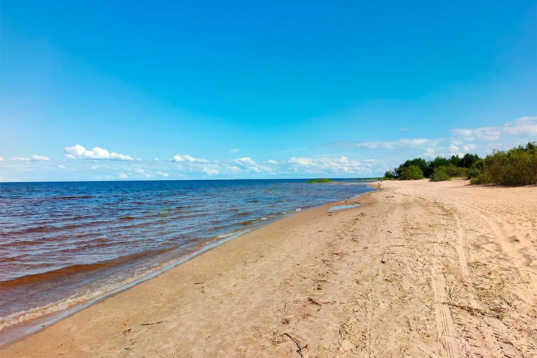 Ладога озеро Коккорево. Поселок Коккорево Ладожское озеро. Пляж на Ладоге в Коккорево. Пляж Коккорево Ладожское озеро. Пляжи ладожского озера