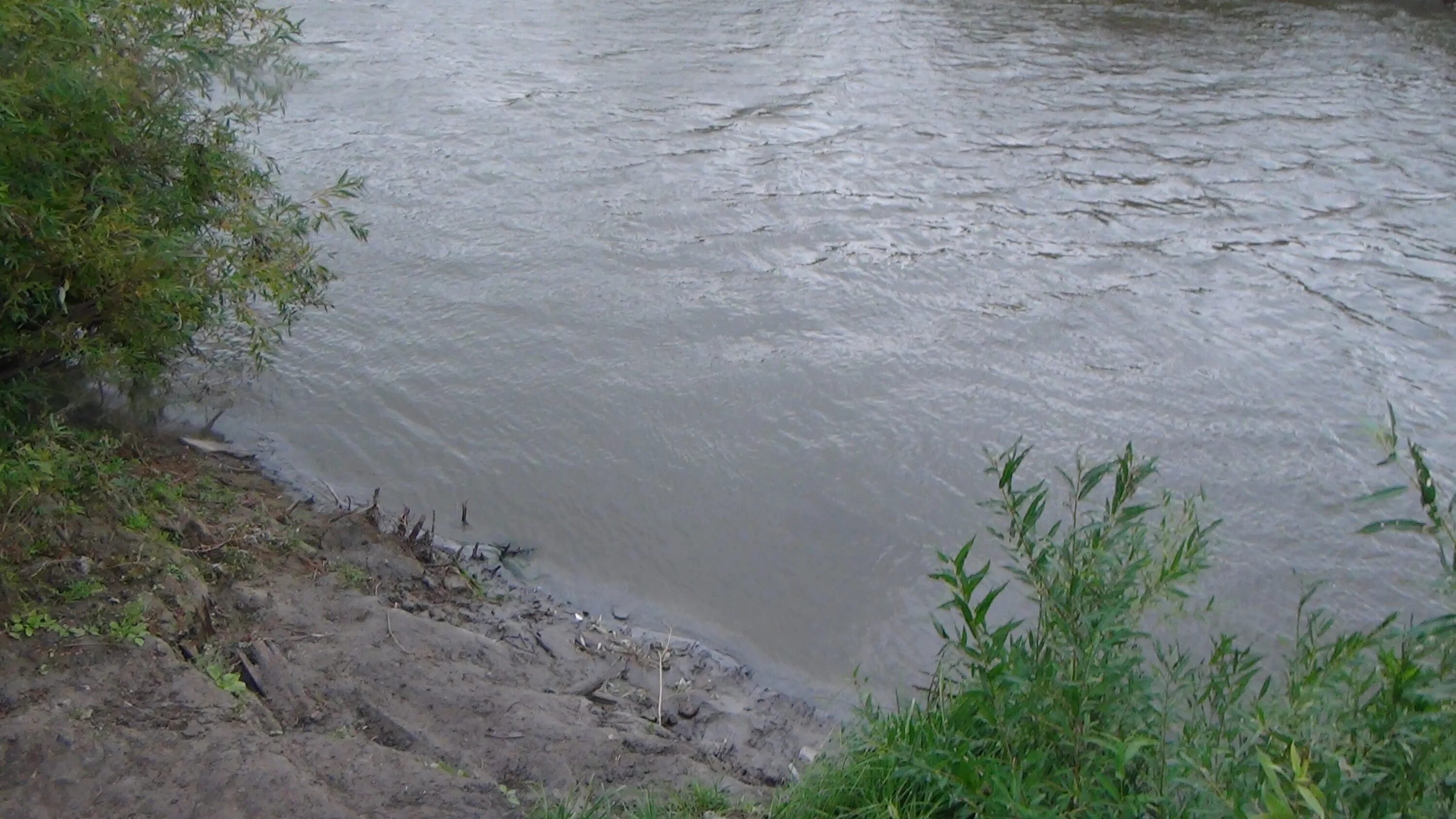 Тобол в реальном времени. Тобол (река) река. Река Тобол Курган. Озеро Тобол Кушлы. Тоболтура река Тобол.