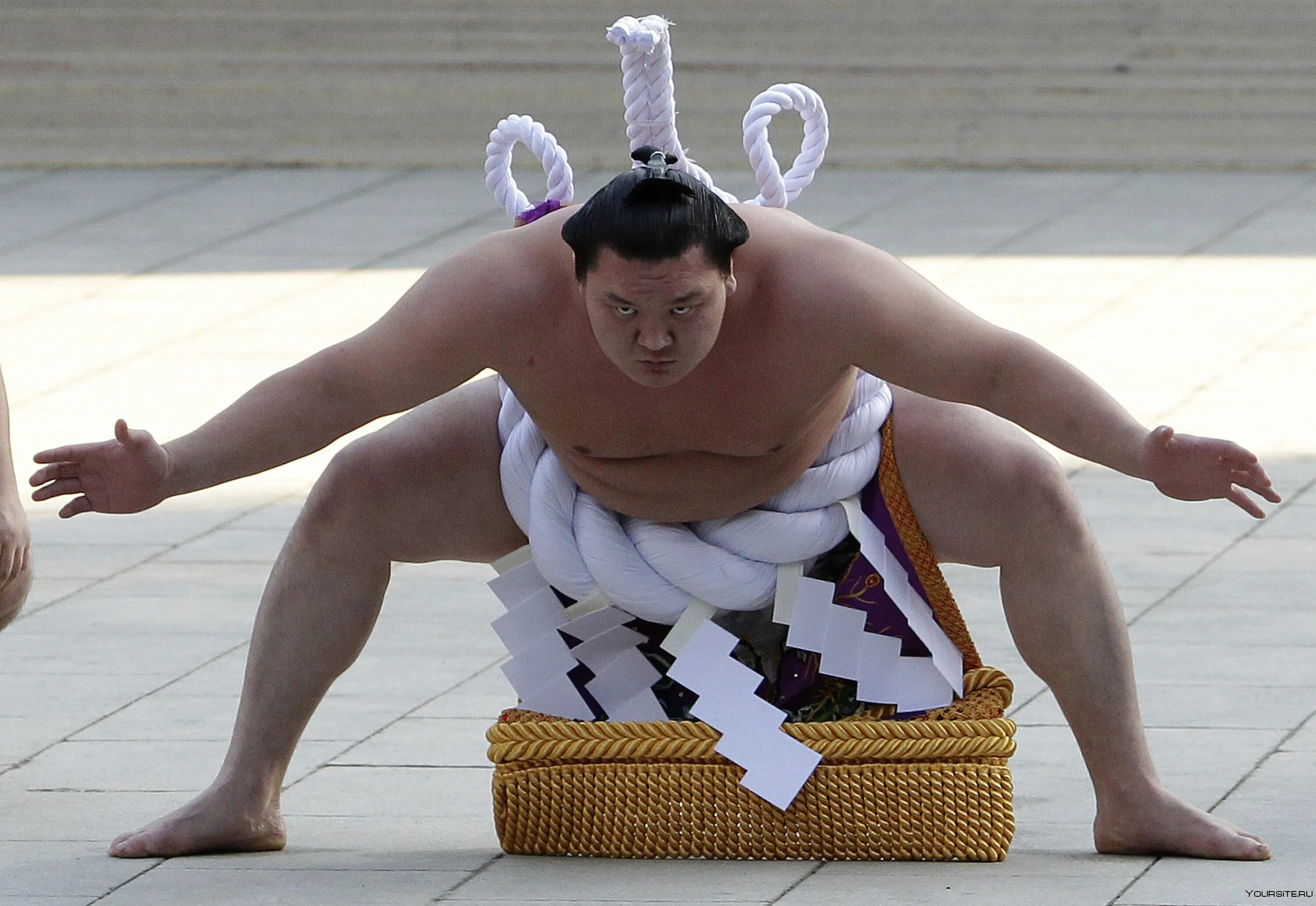 Бойцы сумо Япония женщины. Борец сумо женщина. Суммо