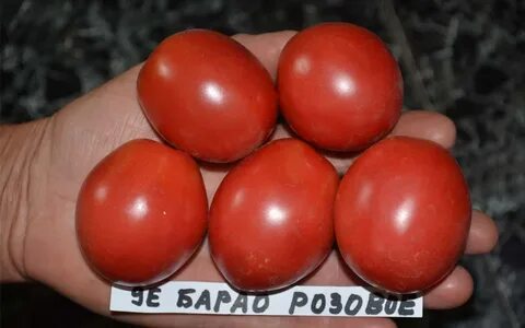 Томат де барао розовый