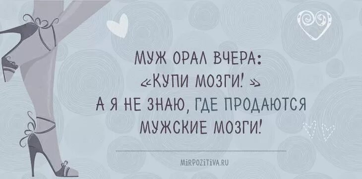 Купи мозги 2. Где продаются мужские мозги. А Я не знаю где продаются мужские мозги. Я не знаю где продаются мужские мозги картинка.