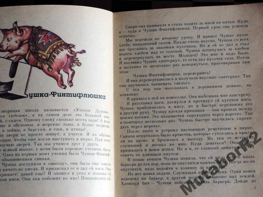 В.Дуров чушка Финтифлюшка. Дуров рассказы. Произведение в л Дурова. Дуров читательский дневник